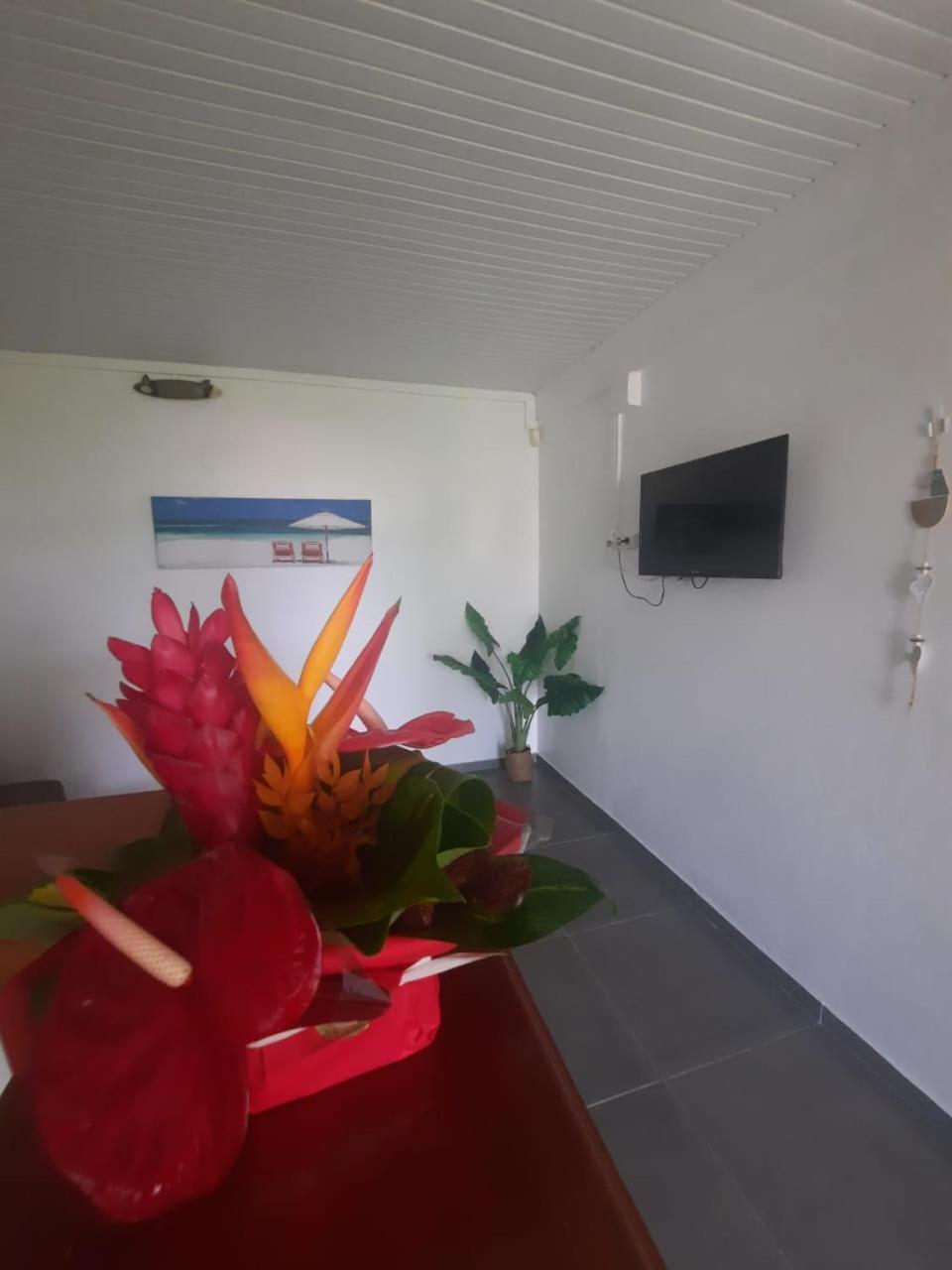 5 Min Plage T2 Ideal Pour Retraites/Jeune Couple แซ็งต์-ลูซ ภายนอก รูปภาพ